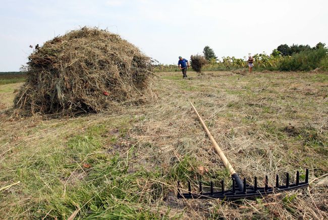 В Україні запрацював сайт, присвячений земельній реформі