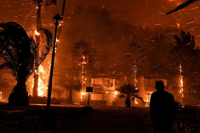 У Греції спалахнула масштабна лісова пожежа