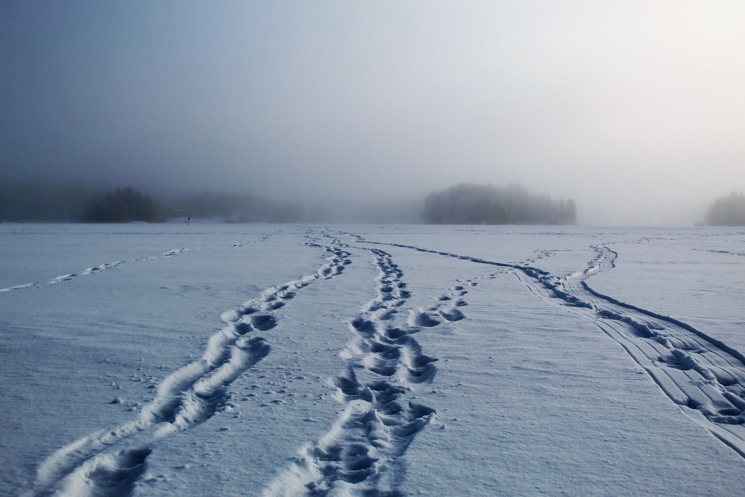 У Закарпатті в горах шукають трьох місцевих жителів, які каталися на снігоходах