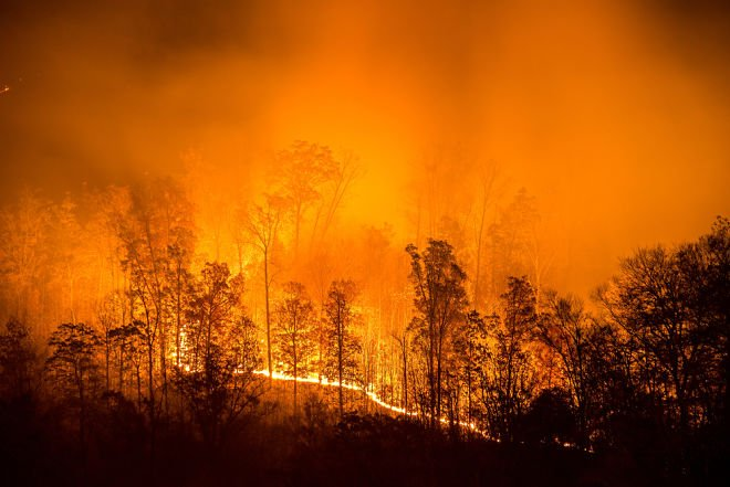 Російський уряд прийняв рішення не гасити пожежу у Сибірі, що вже охопила 3 мільйони гектарів